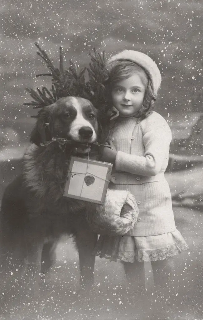 Photo Restoration A Christmas Gift | Christmas Gift Ideas 16 photo restoration service Christmas gift