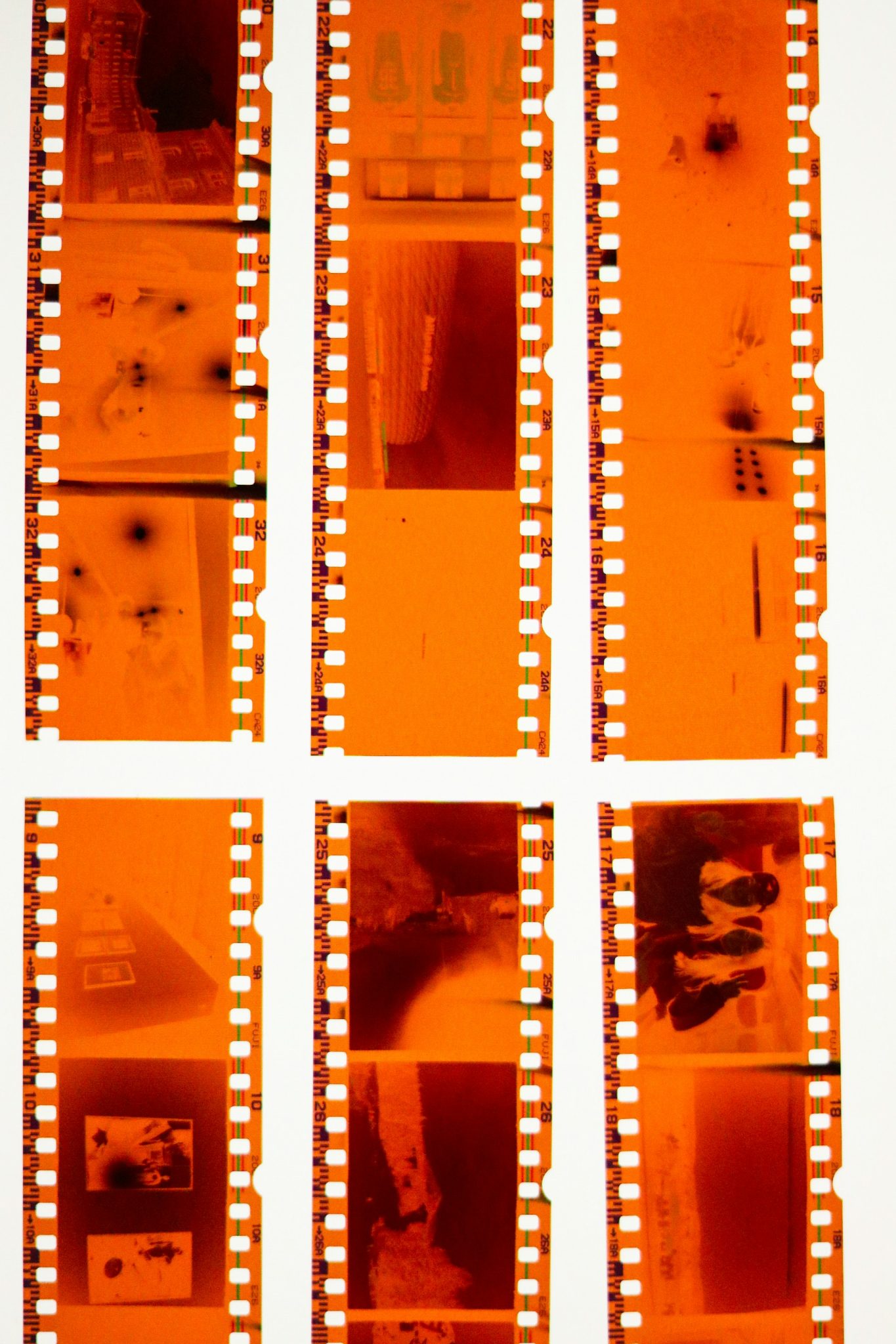 How to Scan Your Negative Films Using a Standard Flatbed Scanner ...