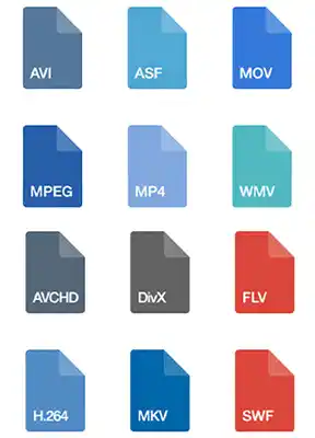 digital format convertion service