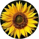 Photo Restoration Home 33 ChIJJR3oPfFr1moR m9hv1rmG2A 88b27a1d17814c53e5545ba6b28c60ee Melbourne Photo Restoration Rescue